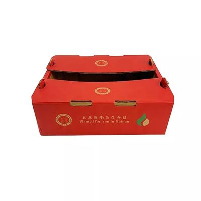 段ボール果物と野菜の包装箱を印刷するCMYKを荷箱