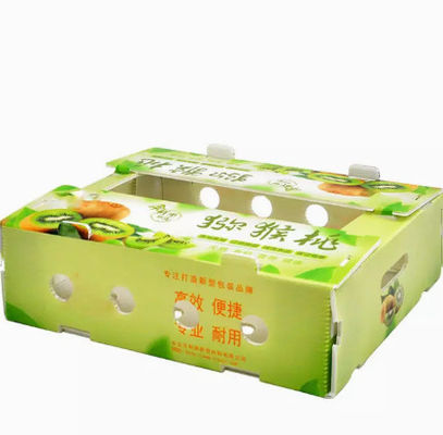 PPのプラスチック フルーツの包装箱の空の版の転換箱の反静的な