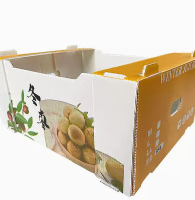 PPのプラスチック フルーツの包装箱の空の版の転換箱の反静的な