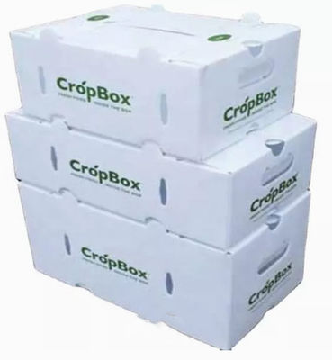 野菜は包装箱波形を付けた保護プラスチック空電を実を結ぶ