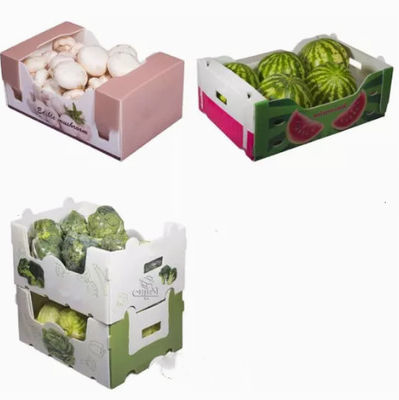 野菜は包装箱波形を付けた保護プラスチック空電を実を結ぶ